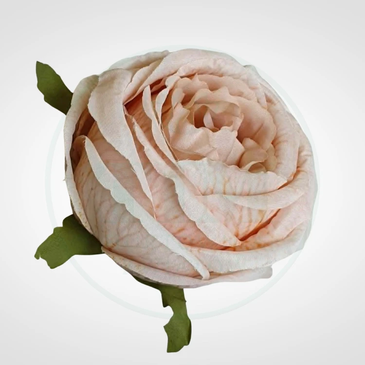 9e9de63e6f2110abd1856ffefd08dbf8.jpg