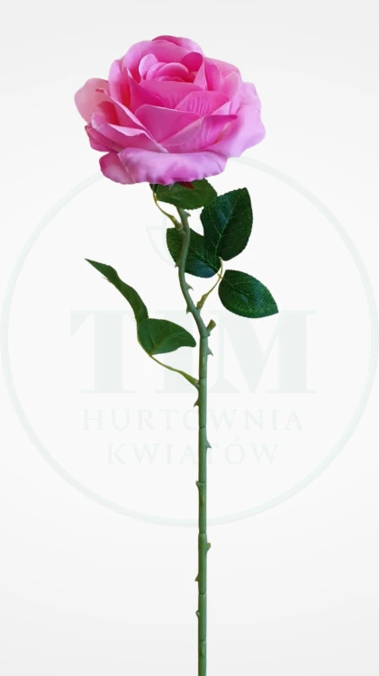 f386bb5b792a5aa19896dec908563bd5.jpg