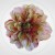 bc508a5baff12c4ef67759561ab6aa21.jpg