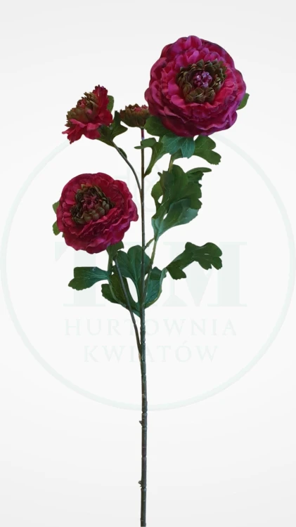04a7148eb73ad4db81fdf04bc8f50f46.jpg