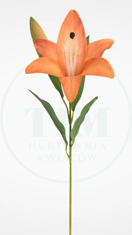 1f0400e810dad04fb11008e8c1772e76.png