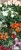 892a7be5db9c70c670a079238a70ce8a.jpg