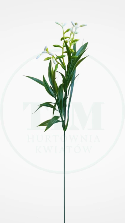 5d8edafa8640c3f18a91b2126cb41024.png
