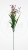 b46884b0c21231493a3d9c9b437e8669.png