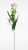 f5441a17522c9109f7971adf537aa843.png