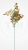 208c1f257c221e308fda44f83ad19ac7.png
