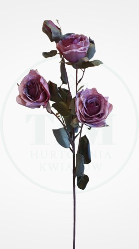 39cbea3280ddf4bd9ad06395742b8bdd.jpg