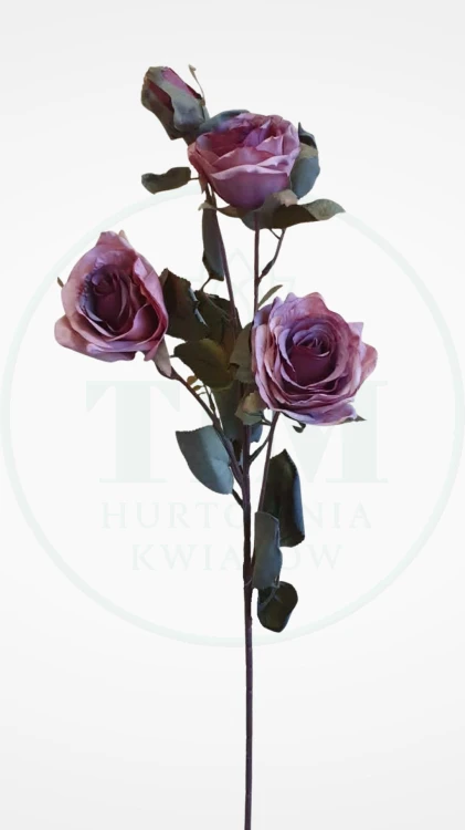 39cbea3280ddf4bd9ad06395742b8bdd.jpg
