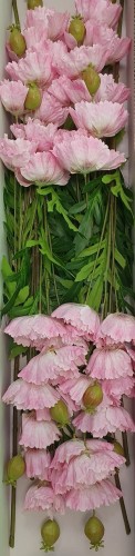 0263887f9e50e6d3e8176193cc9f1c22.jpg