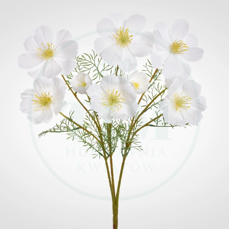 74100c13da95bee89b17e6ee93a48a18.jpg
