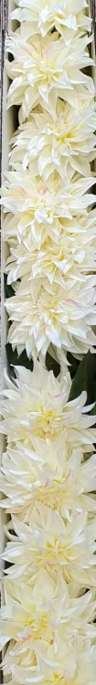 6aa0800358ae8feef2ad295a31d5eb58.jpg