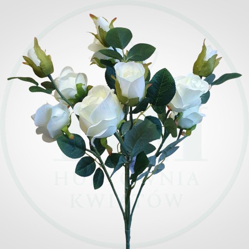 a188e197b407bc71928fd6d05789ad37.jpg