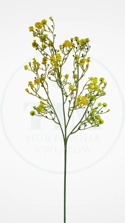 93ba3e18c53e45af3ac5f127c01a8672.jpg
