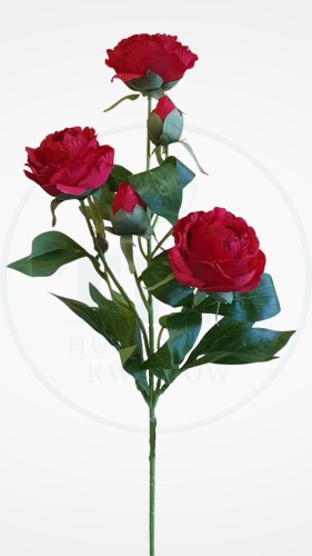 5af3e0d188a38c023a6f3e2df92b98b5.jpg