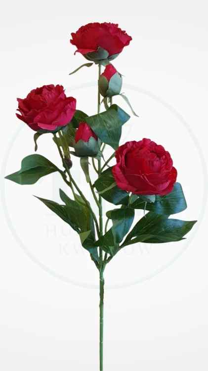 5af3e0d188a38c023a6f3e2df92b98b5.jpg