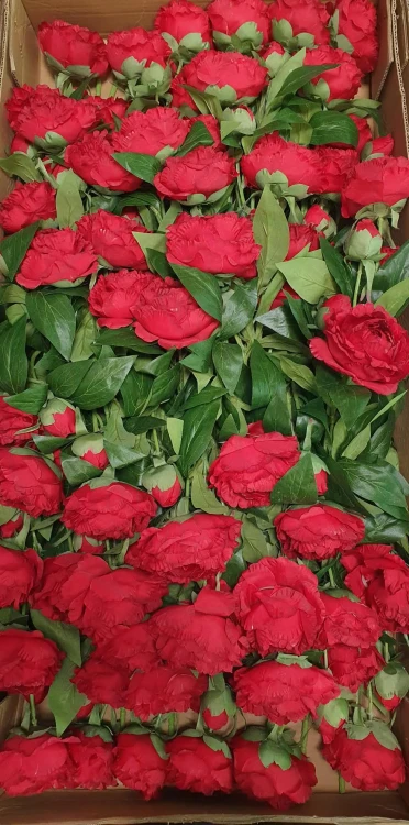 2b1c3f276ac13c8b18053842cc234230.jpg