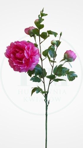 c80a112f9bebf42b89fb841f135f1ec6.jpg
