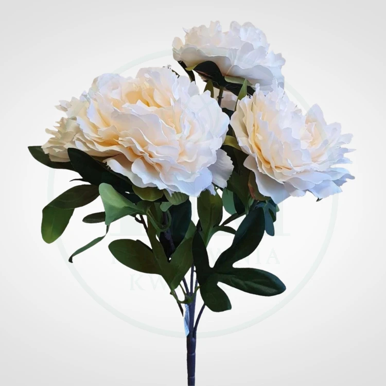 1c8b56caa135c54a515a6ec2b7c8e93b.jpg