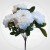0092d8bb0854936347649caf0cdad081.jpg