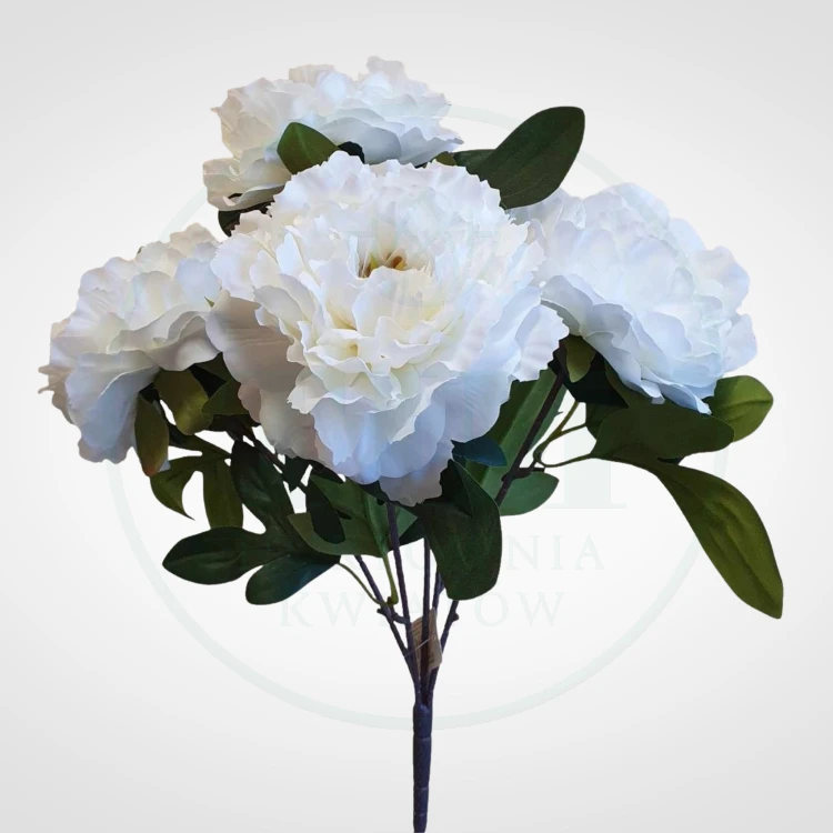 0092d8bb0854936347649caf0cdad081.jpg