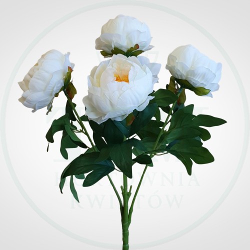 9c1e25385e97c2cbe90c8ef5de1496a6.jpg