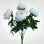 9c1e25385e97c2cbe90c8ef5de1496a6.jpg