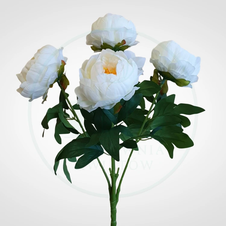 9c1e25385e97c2cbe90c8ef5de1496a6.jpg