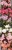 e3806f2c78d0a9bf4d5844fc94037ead.jpg