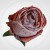 53526f229023bdd1217dddae40817f4e.jpg