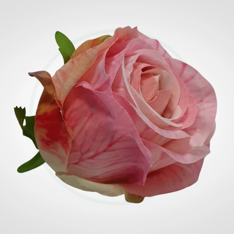 e21f7b99da453a8160c5d6e01b690df3.jpg