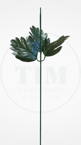 d8ada678a1f68c9d2a0adb60ab047f31.jpg