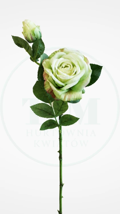 e6e8885f5658df8eeef10049839b9618.jpg