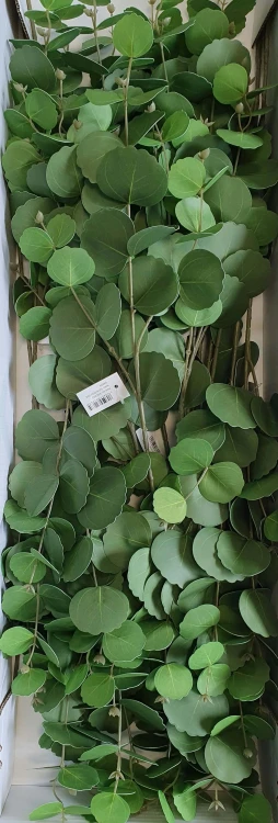 f11a90ef8f97f0f284485d7330989c67.jpg