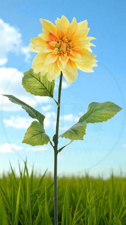 9fe8febad5aa3127207277ac39457565.jpg