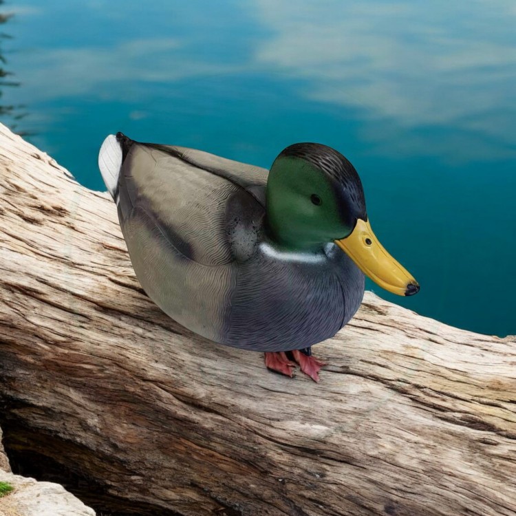 950a2b34ba349b988b1629823df7f13b.jpg