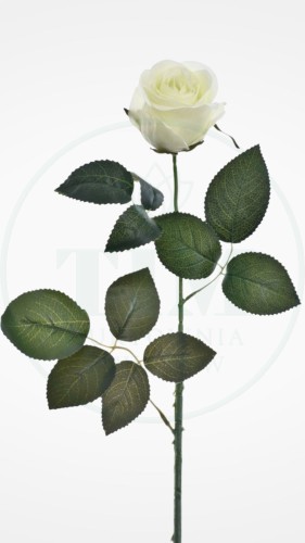 fc57c2e80d41de86add83d83cb3f7cf7.jpg