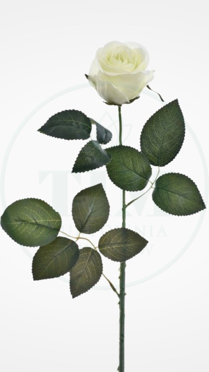 fc57c2e80d41de86add83d83cb3f7cf7.jpg