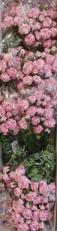 9adbedeaad1c8c24a3a163abaedf1edf.jpg