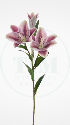 f7e94b6b2093a74bb1527ef228fa1adf.png