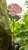 61dc100fc967c973df03dc1df0a3fd90.jpg