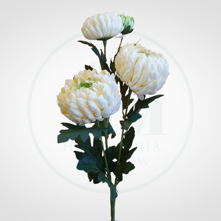 a3e0726f12a34f497d74173f39eab5e1.jpg