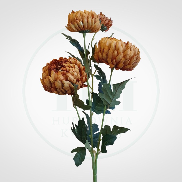 b129468d592d5e3eacff765f9b039ae0.jpg