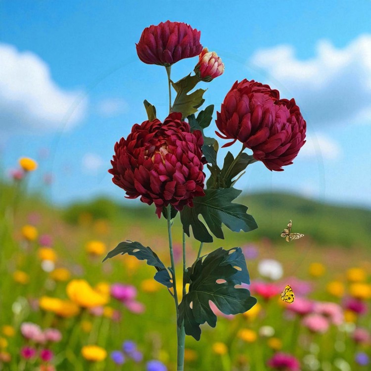 b4d5b7a801933253f7a0afa6b5dbb0c5.jpg