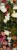 0b3a73c13bbb1985e60f394359639c8e.jpg